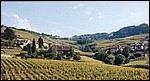 16-6-2002 1-17 Lausanne, Culli 20.jpg