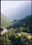 17-6-2002 2-25 Biascina 12A.jpg