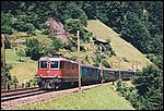 22-6-2002 6-27 Gurtnellen - Intchi 10A.jpg