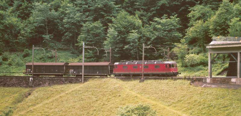 05-26 - 14-06-2005 - Gotthard, Nord - 11a.jpg