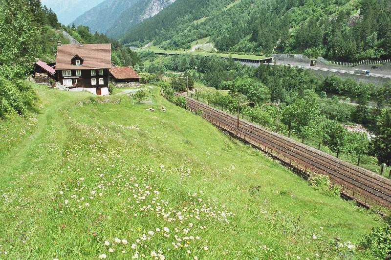 08-36 - 16-06-2005 - Pfaffensprung - 01A.jpg